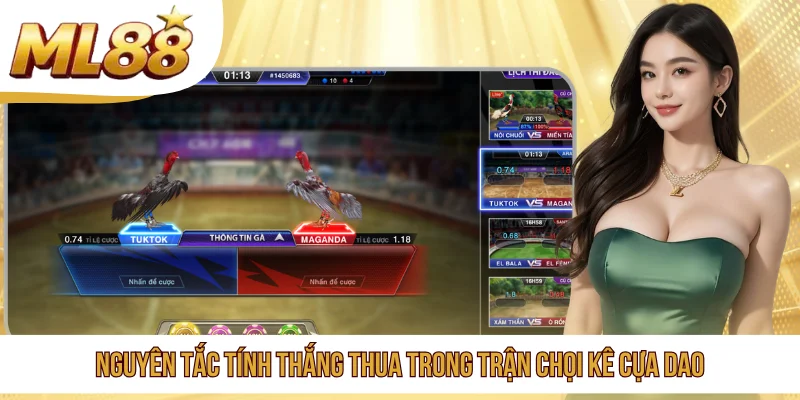 Nguyên tắc tính thắng thua trong trận chọi kê cựa dao